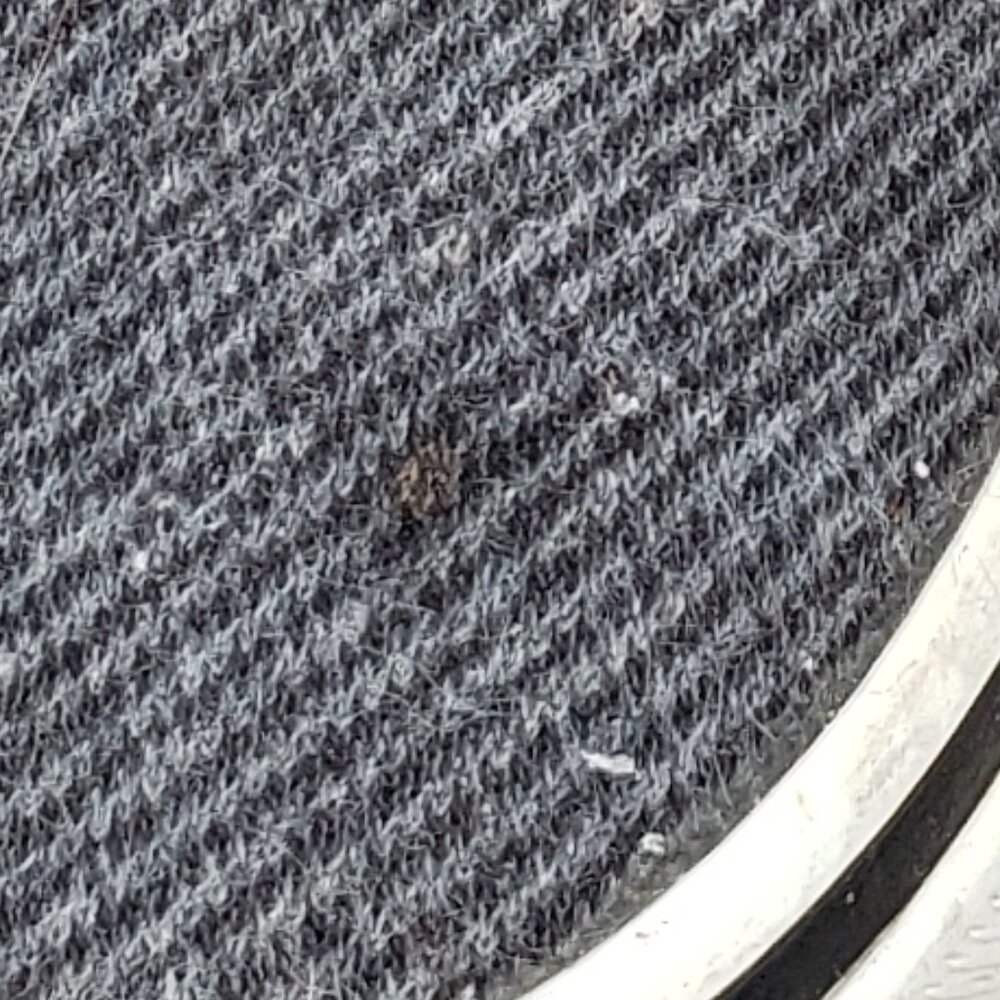 EUC KEDS double decker slip-on sneaker in pewter grey (9) KICKS - Picture 7 of 8